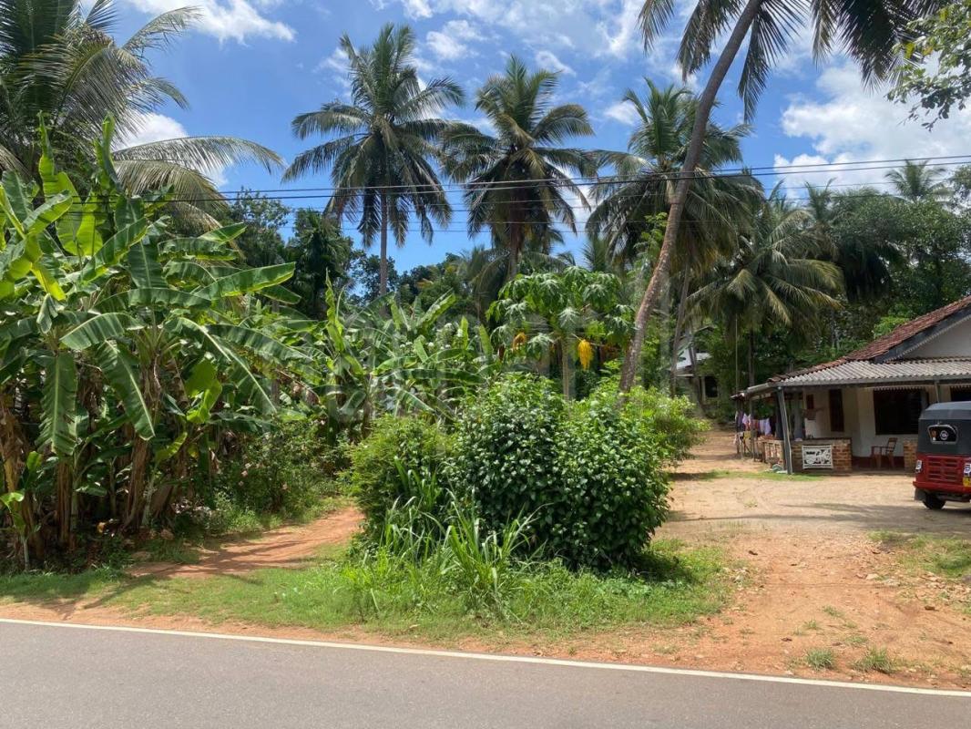 Agricultural Land for Sale in Agarapathana