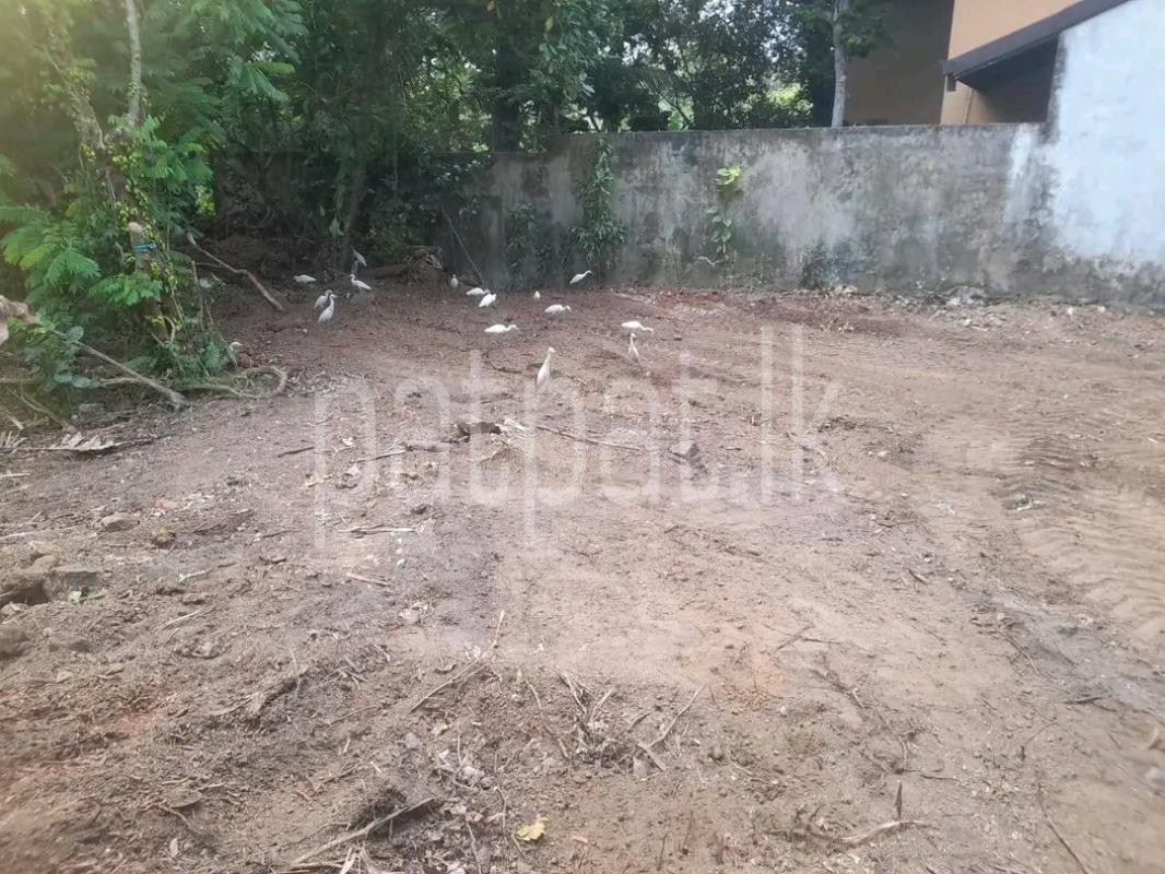 Residential Land for Sale in Ragama