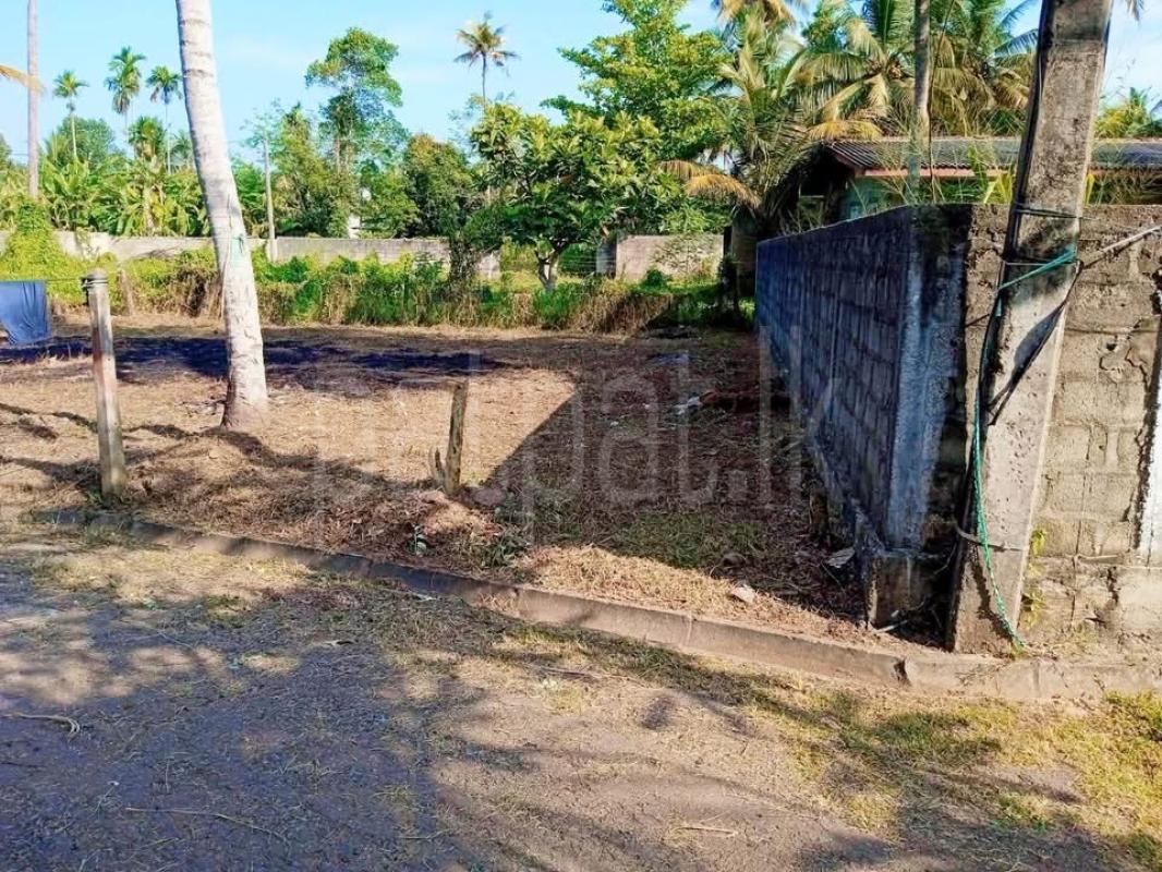Agricultural Land for Sale in Panadura
