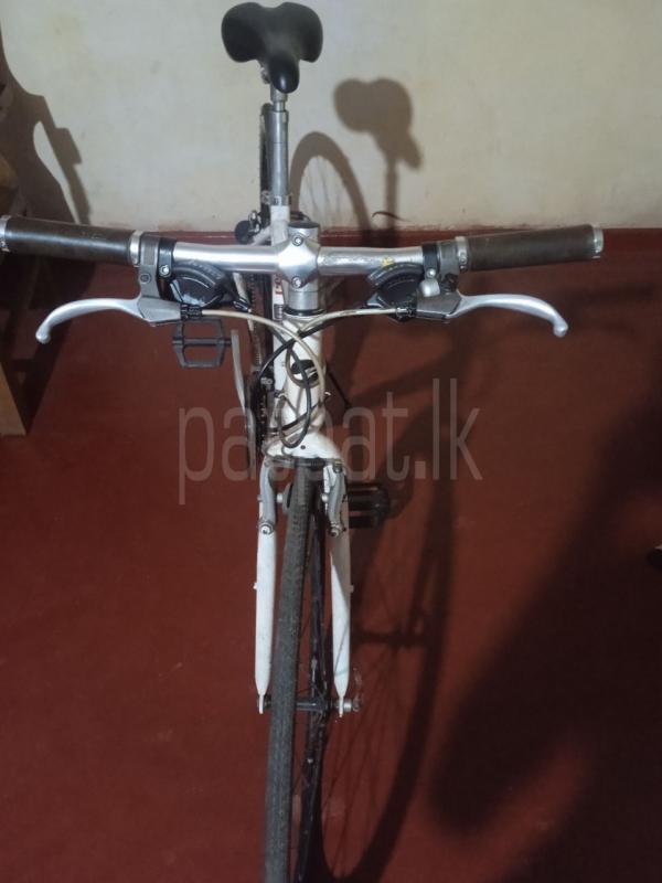 Advertisement image 5