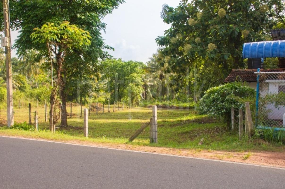 Commercial Land for Sale in Marawila ads-image-1