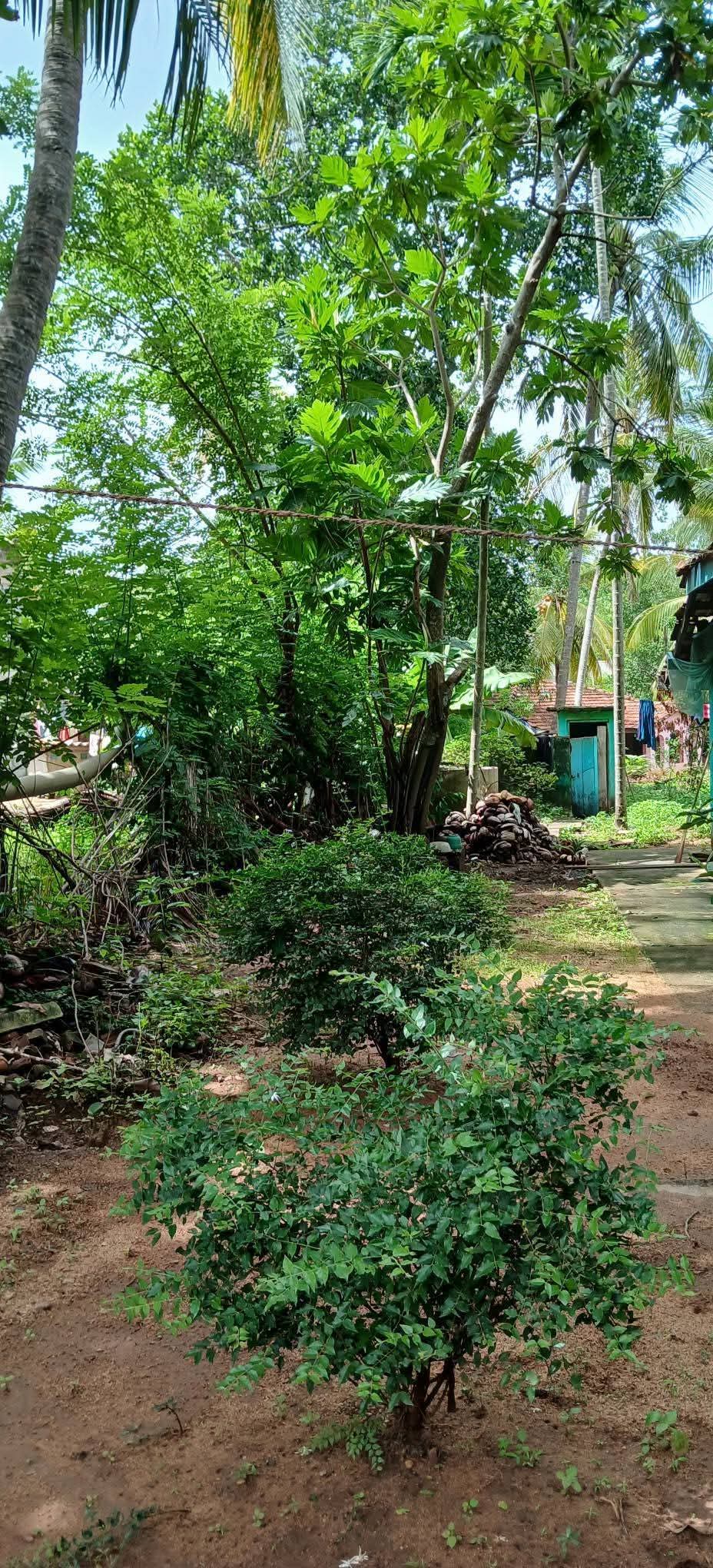Residential Land for Sale in Kataragama