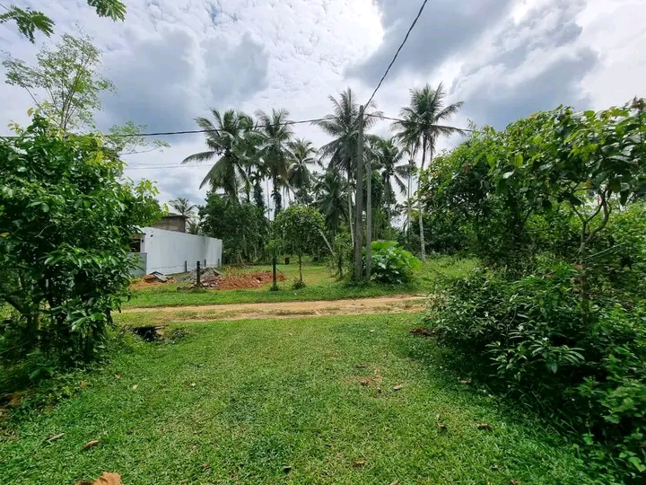 Commercial Land for Sale in Padukka