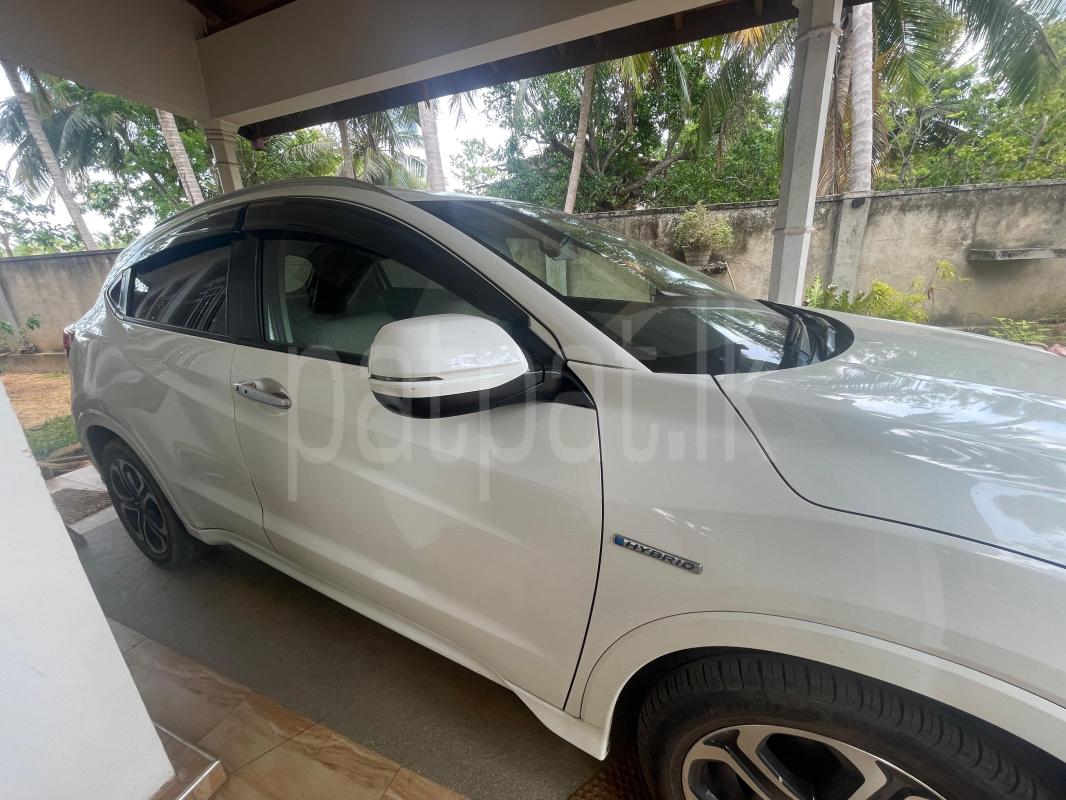 Advertisement image 5