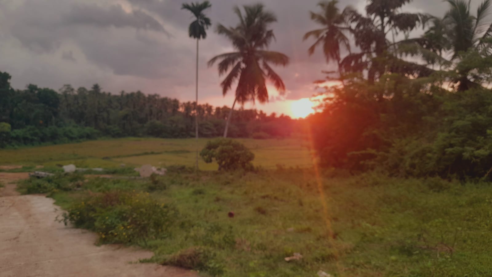 Agricultural Land for Sale in Dompe