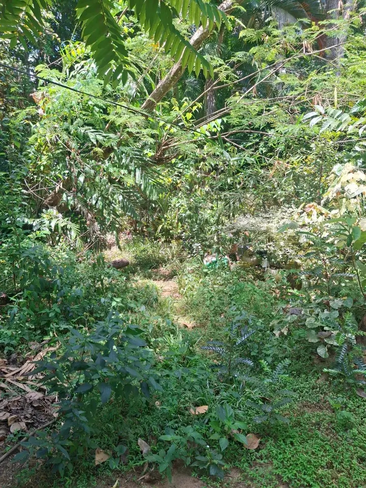 Residential Land for Sale in Minuwangoda