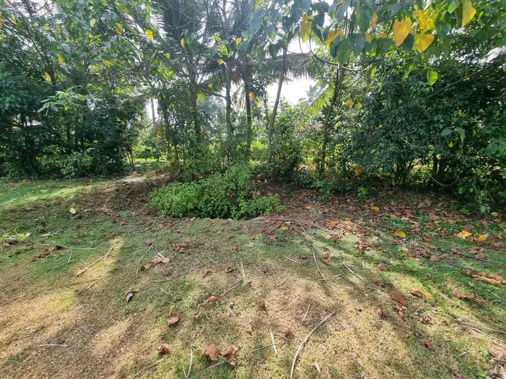 Commercial Land for Sale in Nittambuwa