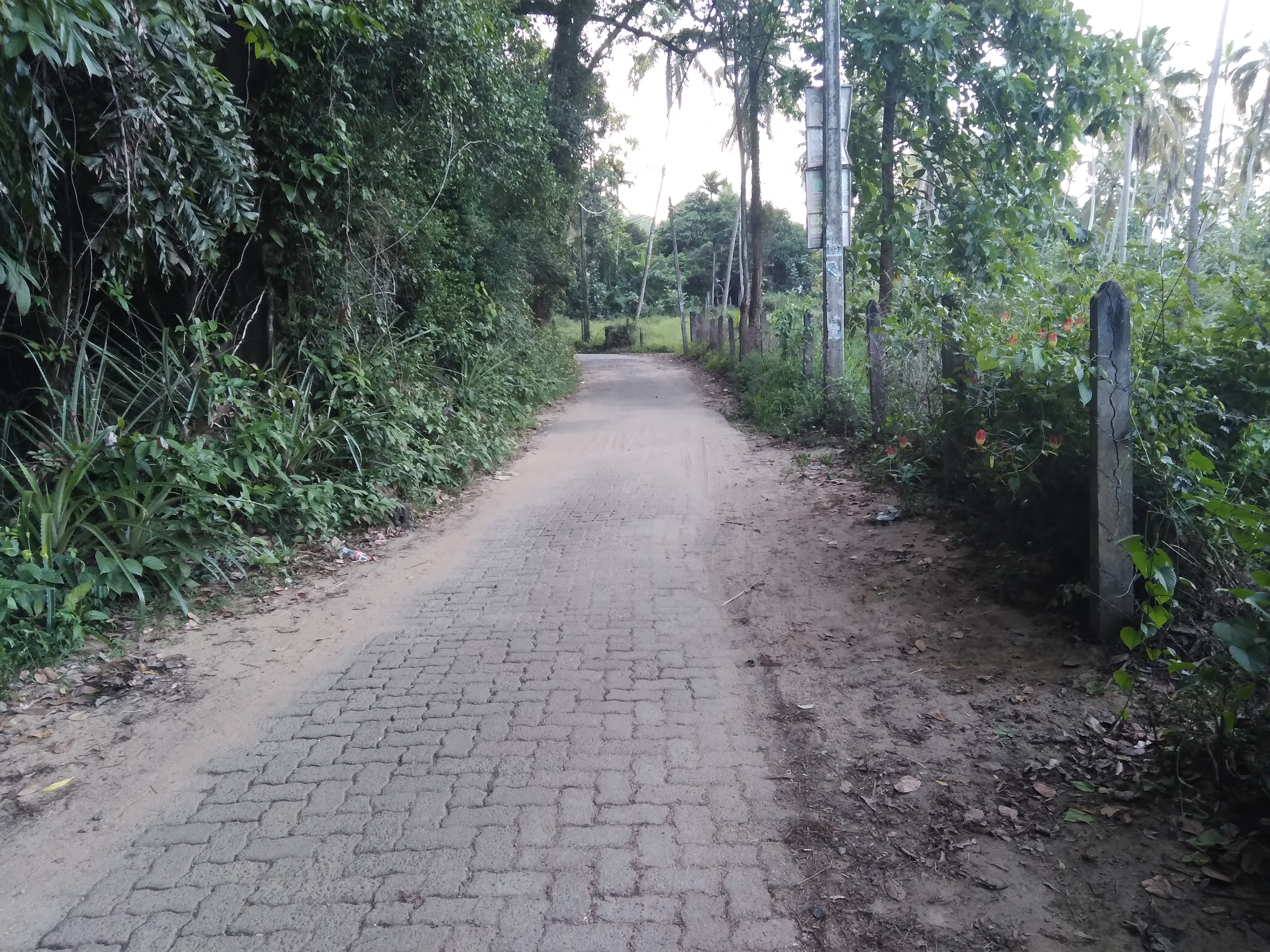 Residential Land for Sale in Torayaya