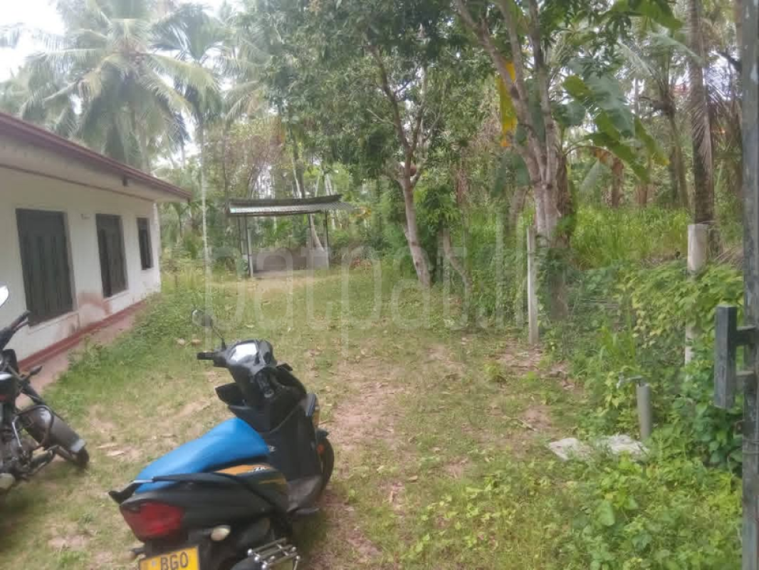 House for Sale in Divulapitiya