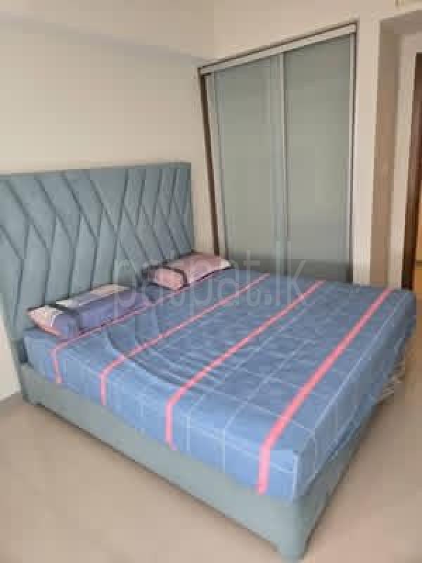 Luxury Apartment for Rent in Colombo Fort (Colombo 01)