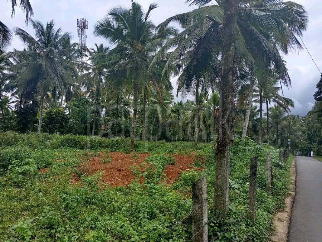 Agricultural Land for Sale in Polgahawela