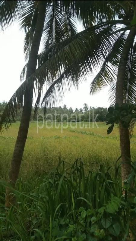 Commercial Land for Sale in Unawatuna