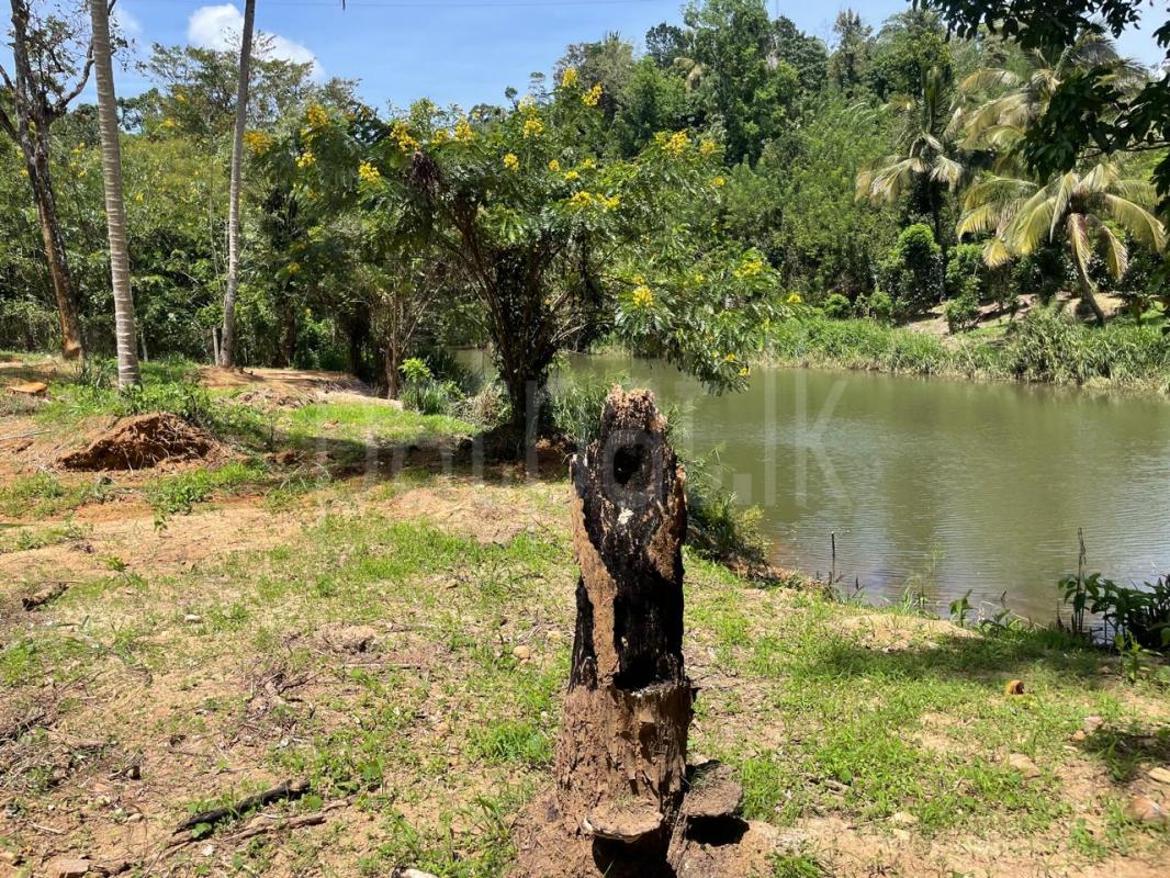 Residential Land for Sale in Balangoda