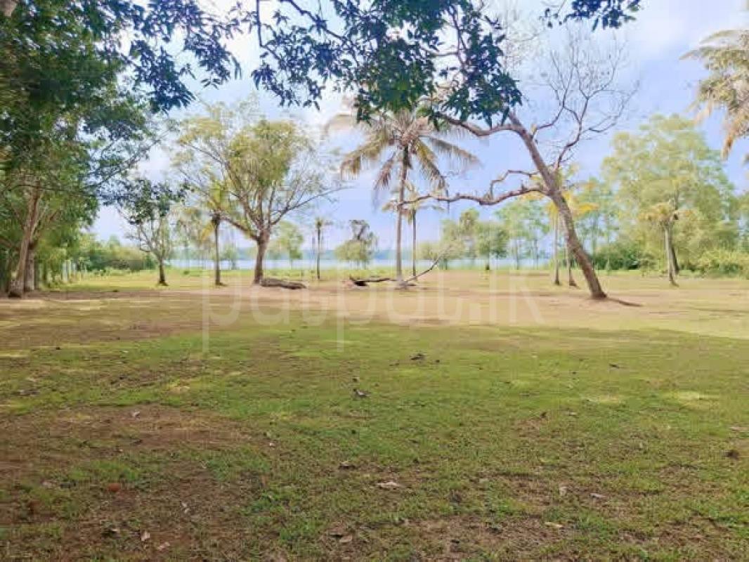 Agricultural Land for Sale in Panadura