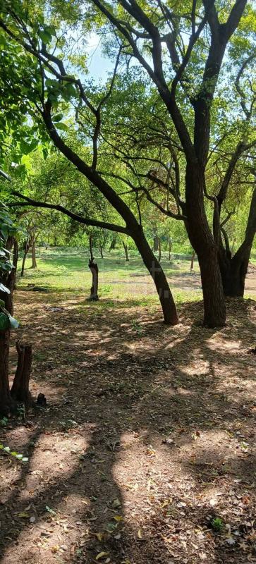 Residential Land for Sale in Kataragama