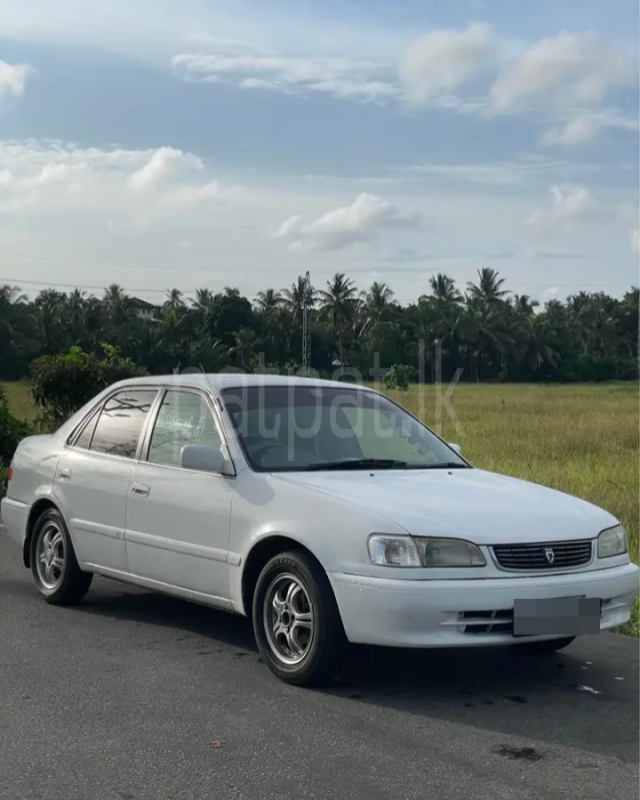 Toyota Corolla 1997 - Used Car sale in Sri Lanka - patpat.lk