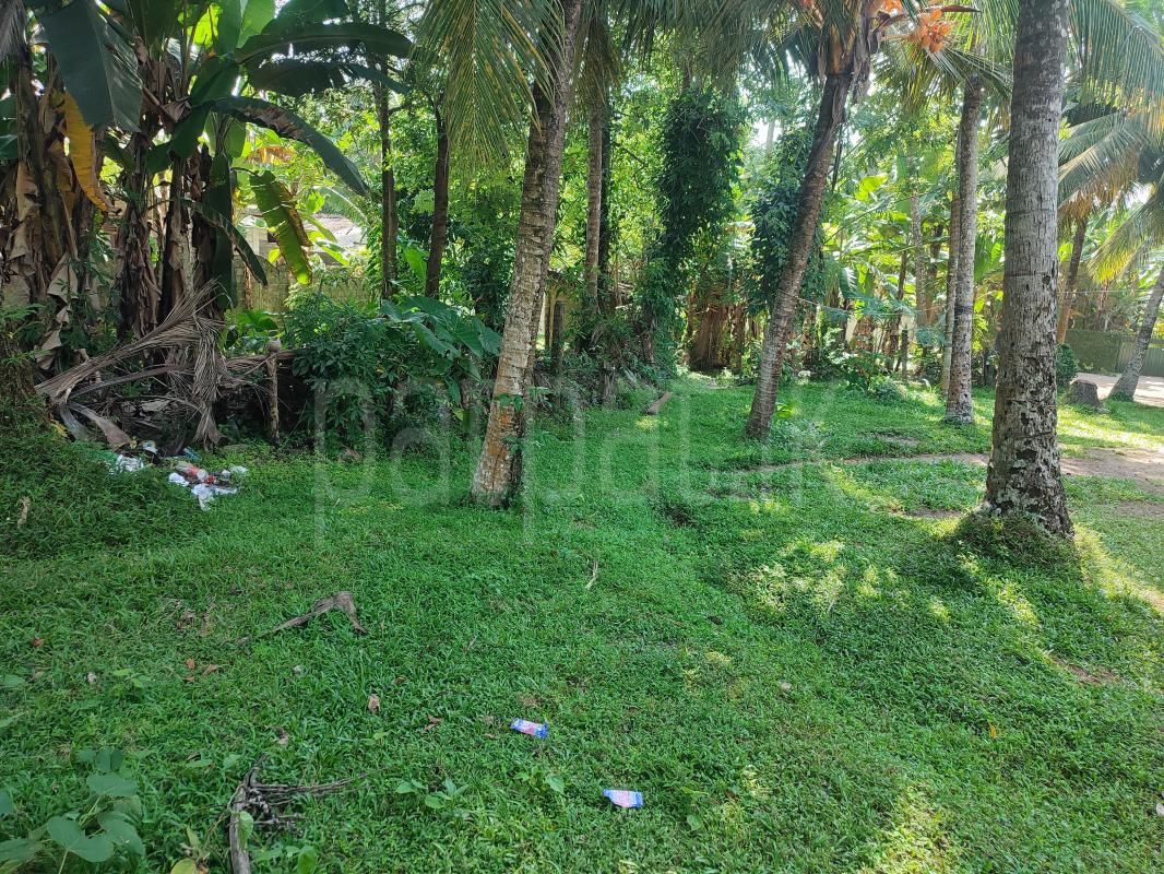 Residential Land for Sale in Panadura ads-image-1