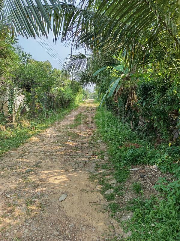 Residential Land for Sale in Horana