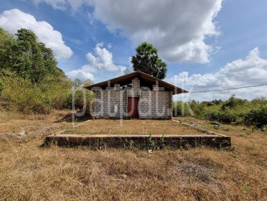 premium-listing-image