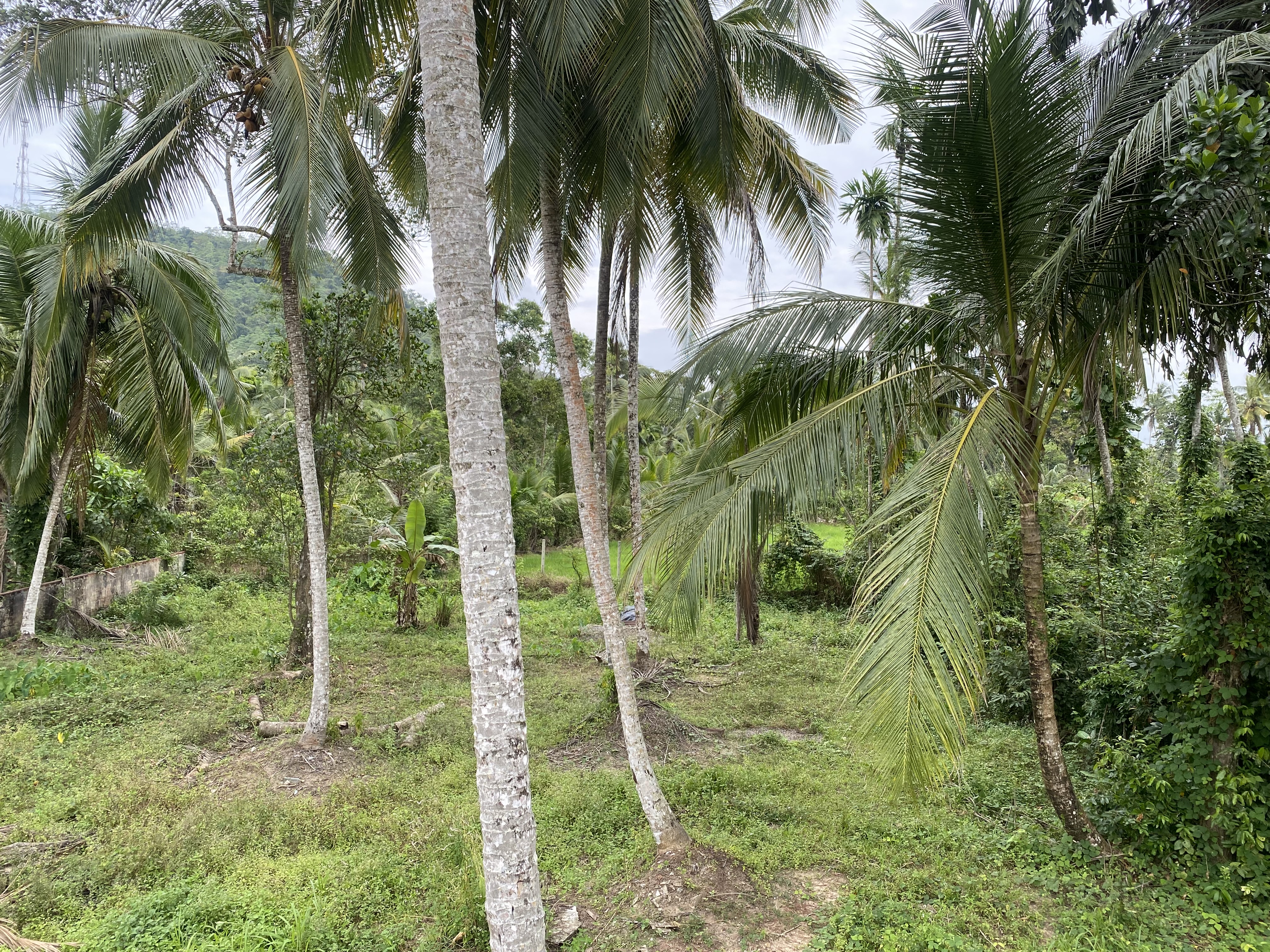 House for Sale in Anguruwatota