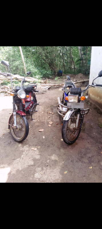 Advertisement image 6