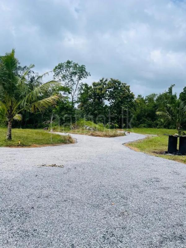 Commercial Land for Sale in Kiriwattuduwa