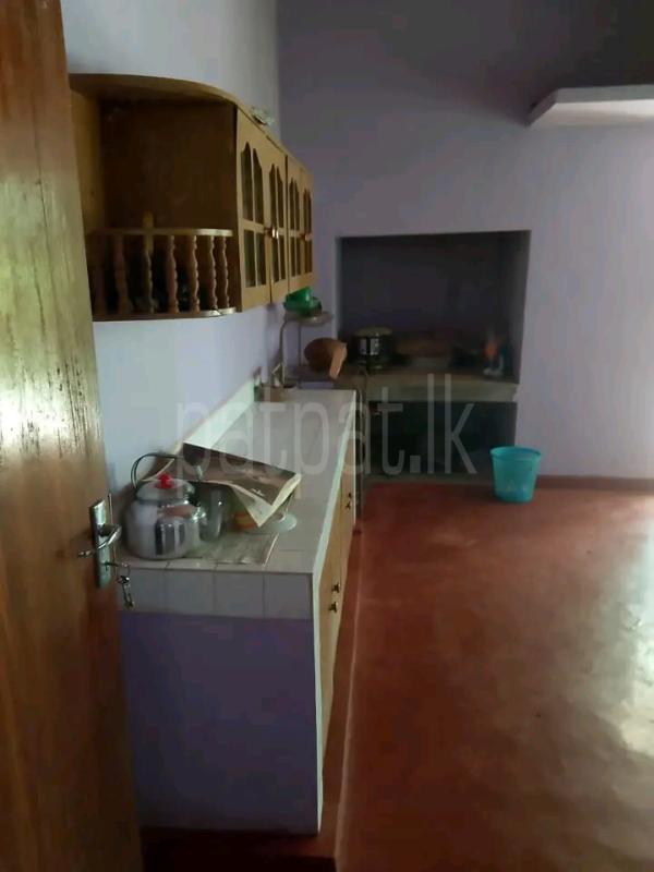 House for Sale in Galigamuwa Town ads-image-1