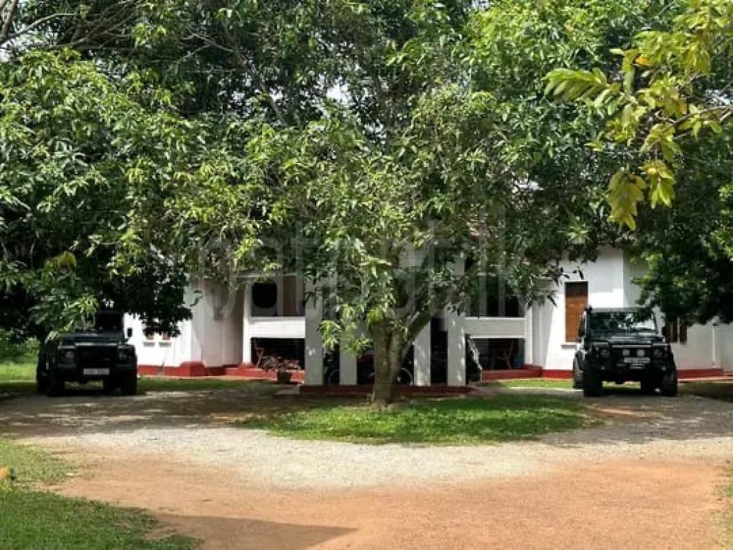 Commercial Land for Sale in Piliyandala