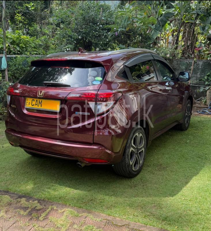 Advertisement image 3