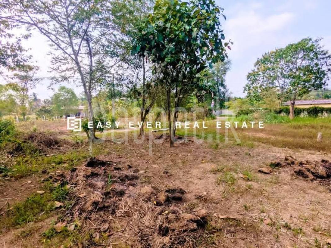 Residential Land for Sale in Nittambuwa