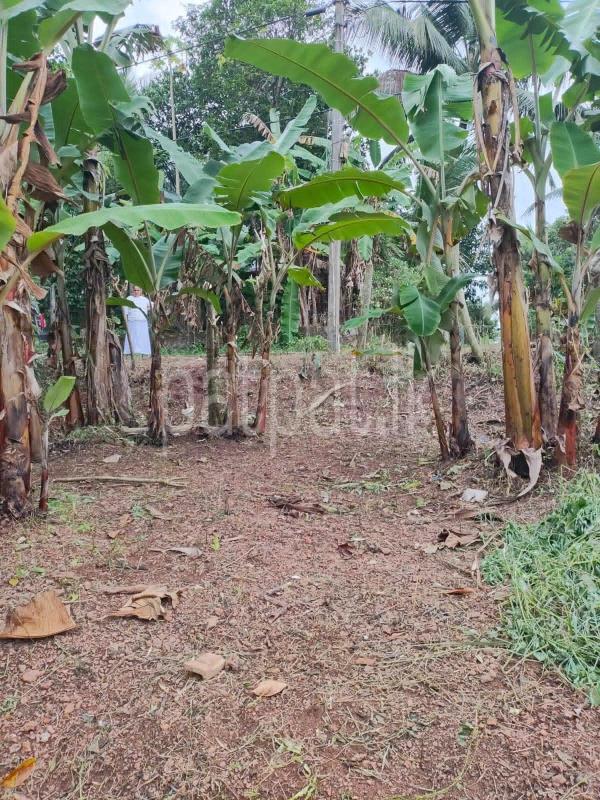 Residential Land for Sale in Gampaha