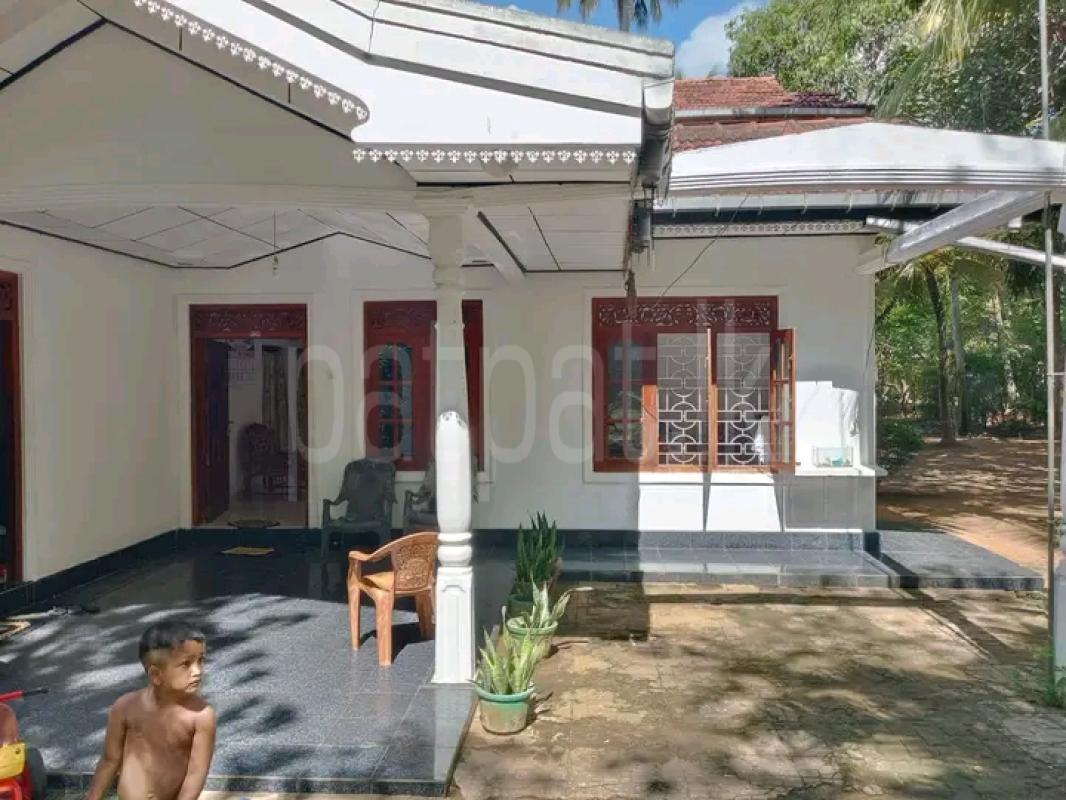 House for Sale in Ranna ads-image-1