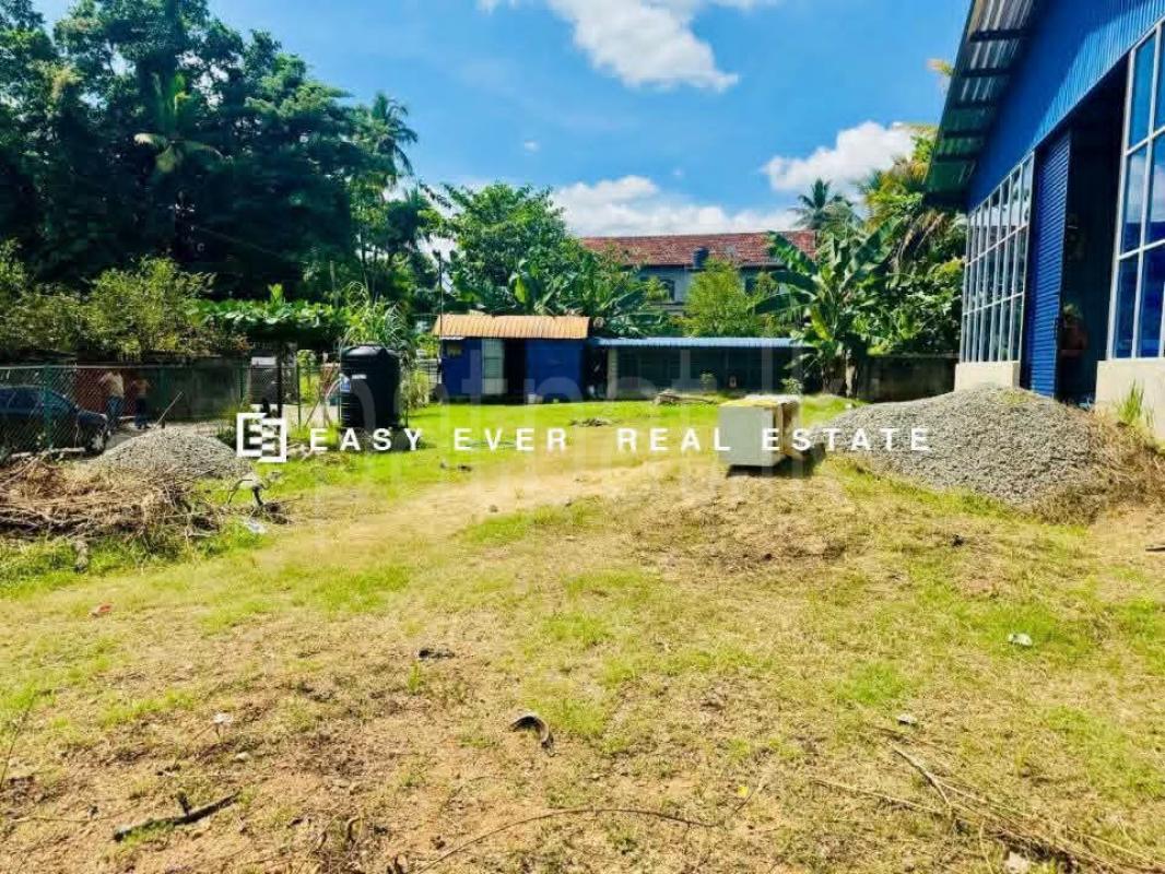 Commercial Land for Sale in Gampaha