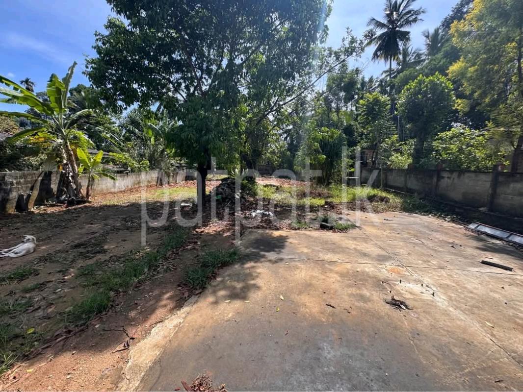 Commercial Land for Sale in Gampola ads-image-1