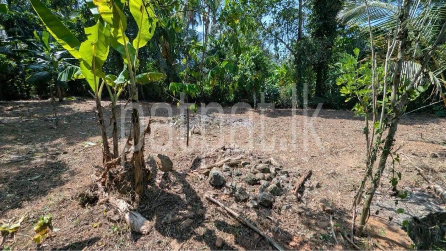 Residential Land for Sale in Kirindiwela