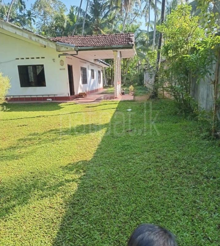 Commercial Land for Sale in Panadura