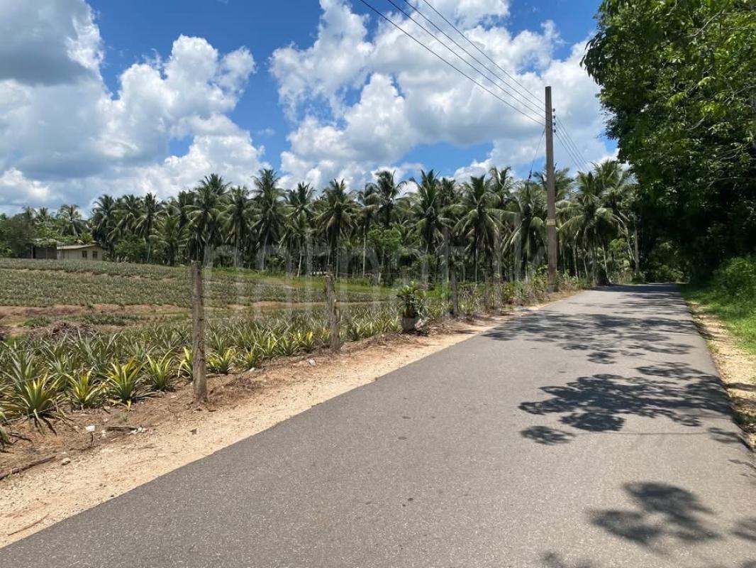 Agricultural Land for Sale in Padukka
