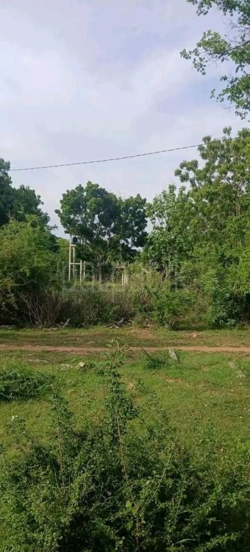 Commercial Land for Sale in Kataragama ads-image-1