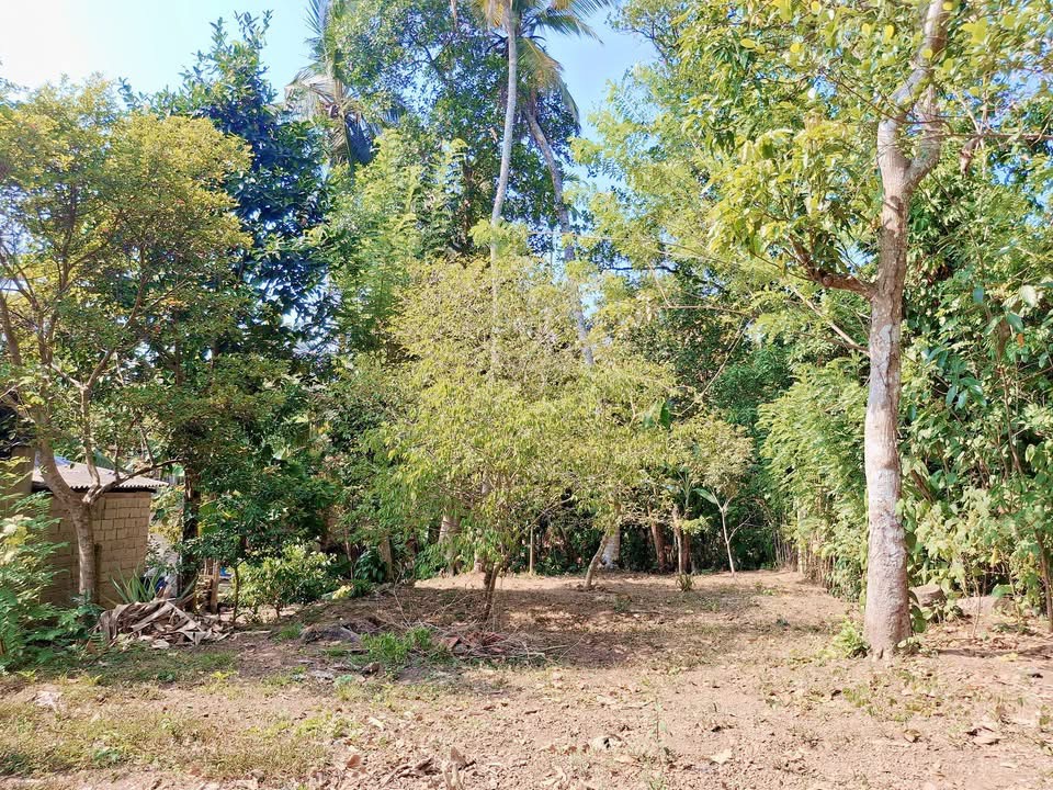 Agricultural Land for Sale in Panadura