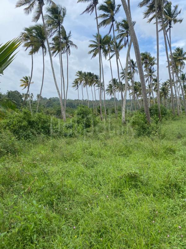 Residential Land for Sale in Rajagiriya ads-image-1