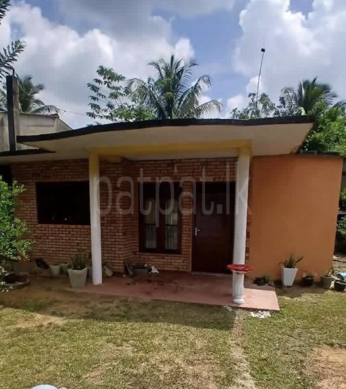 House for Sale in Kandana ads-image-1