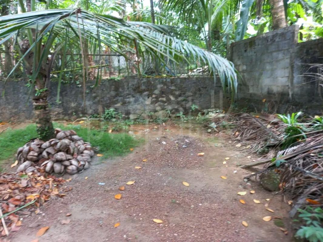 Residential Land for Sale in Peliyagoda