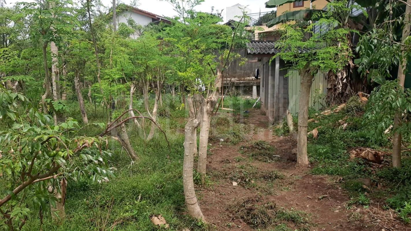 Agricultural Land for Sale in Kalubowila