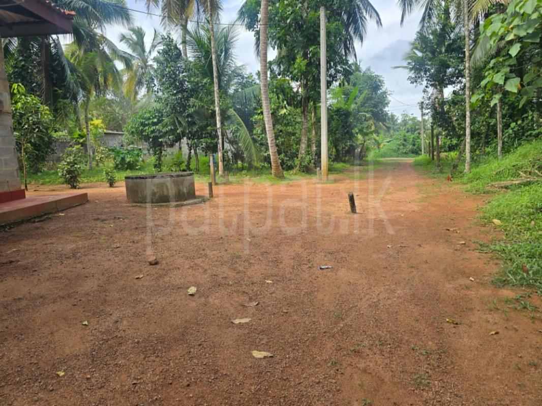 Residential Land for Sale in Kadawatha