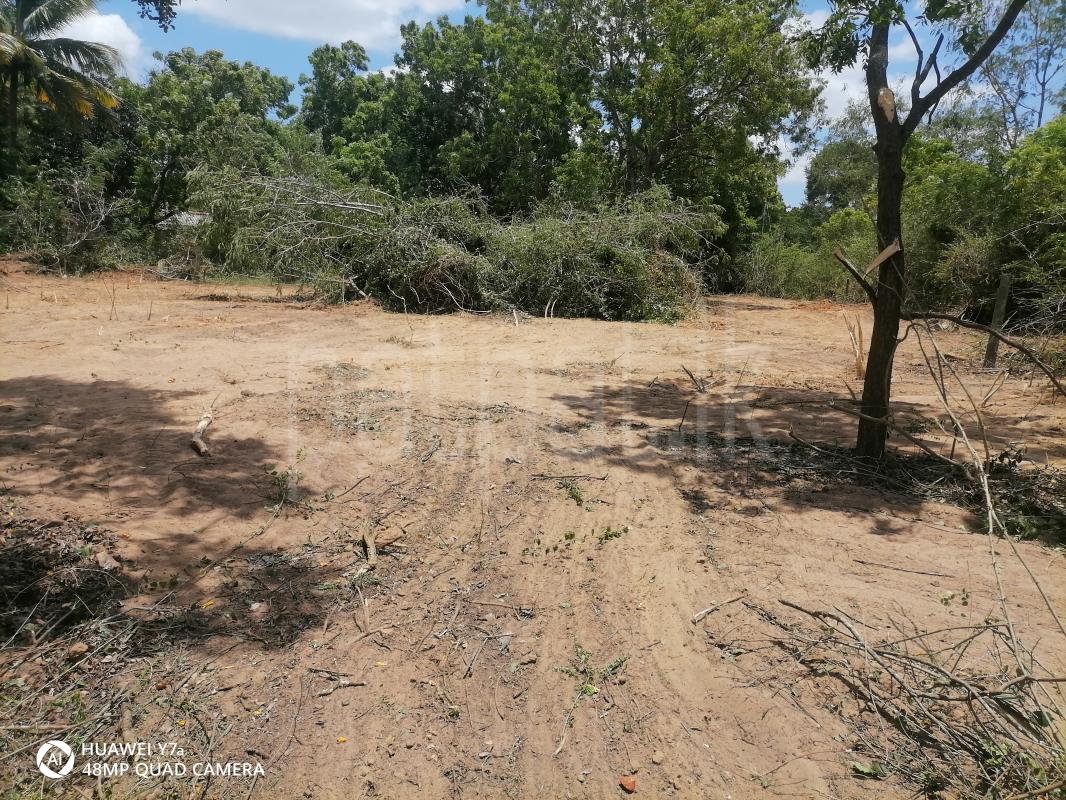 Land for Sale in Weerawila ads-image-1