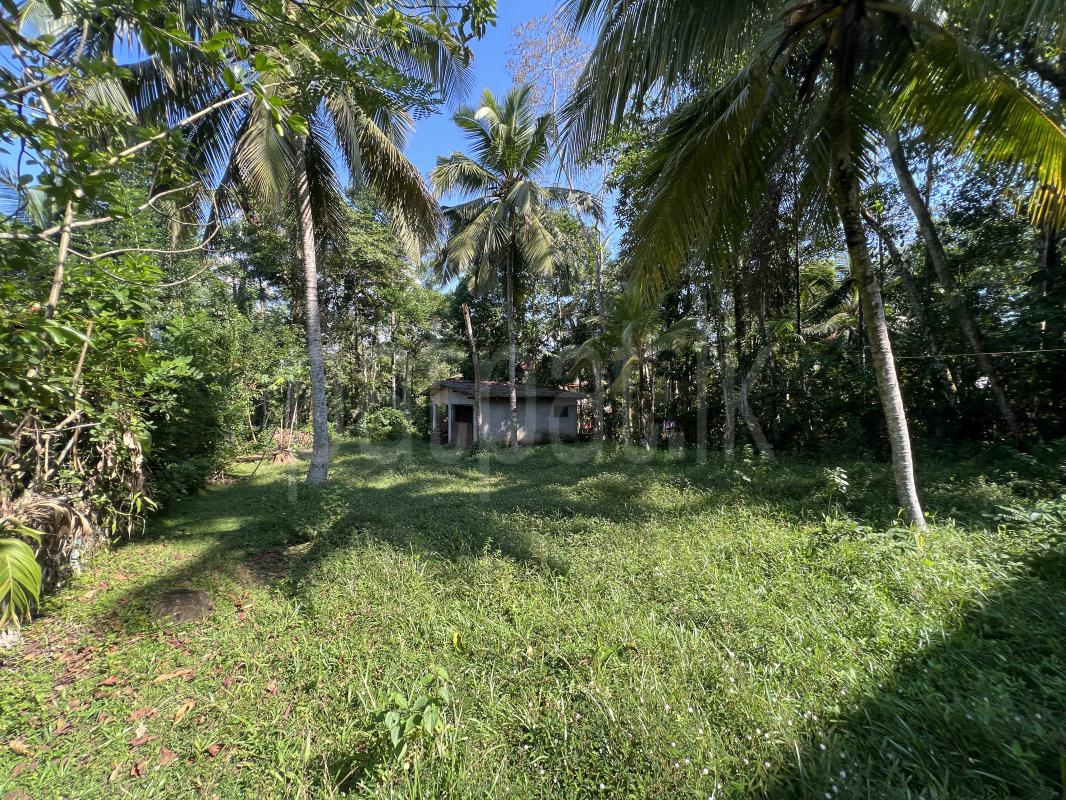 premium-listing-image