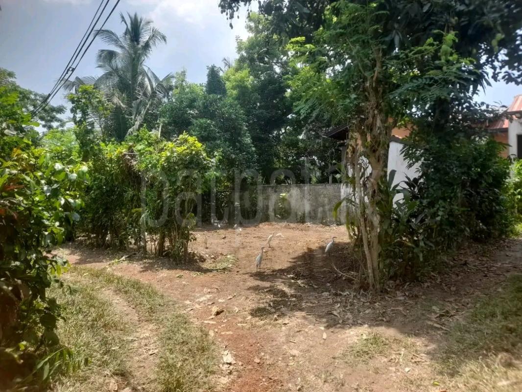 Residential Land for Sale in Ragama