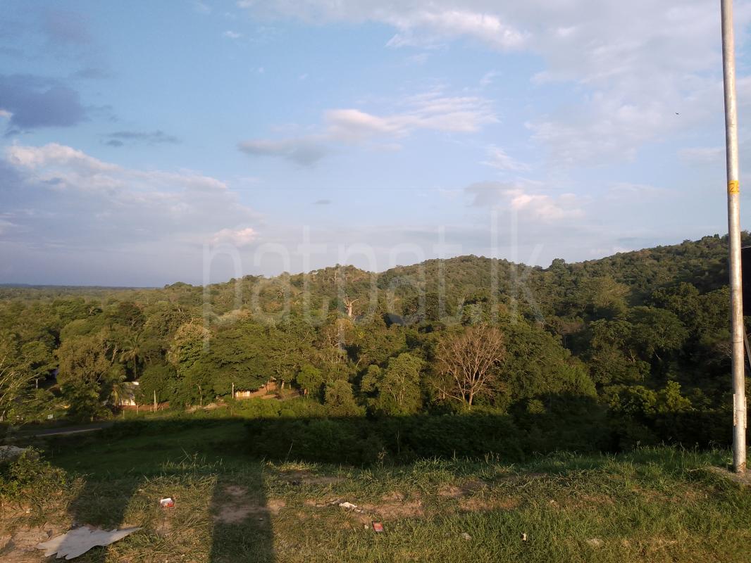 Residential Land for Sale in Ambatenna
