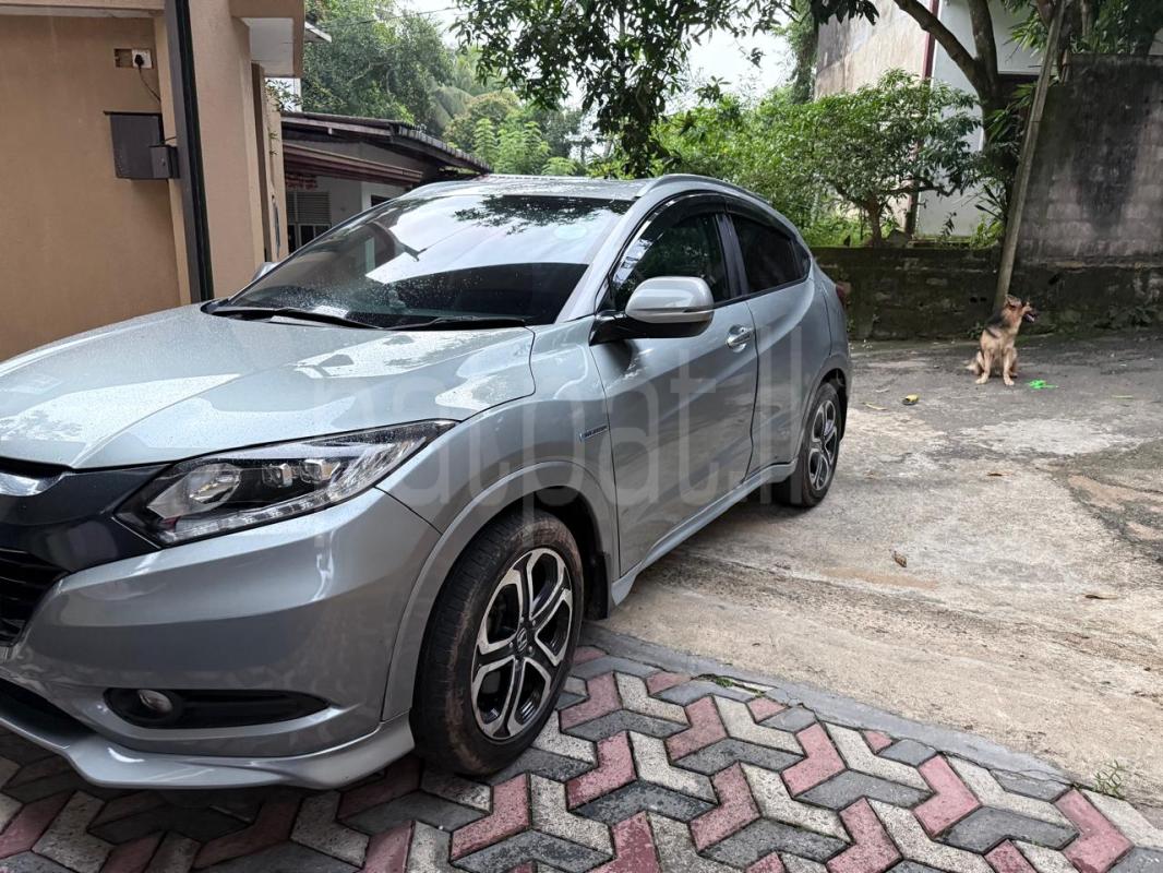 Advertisement image 6