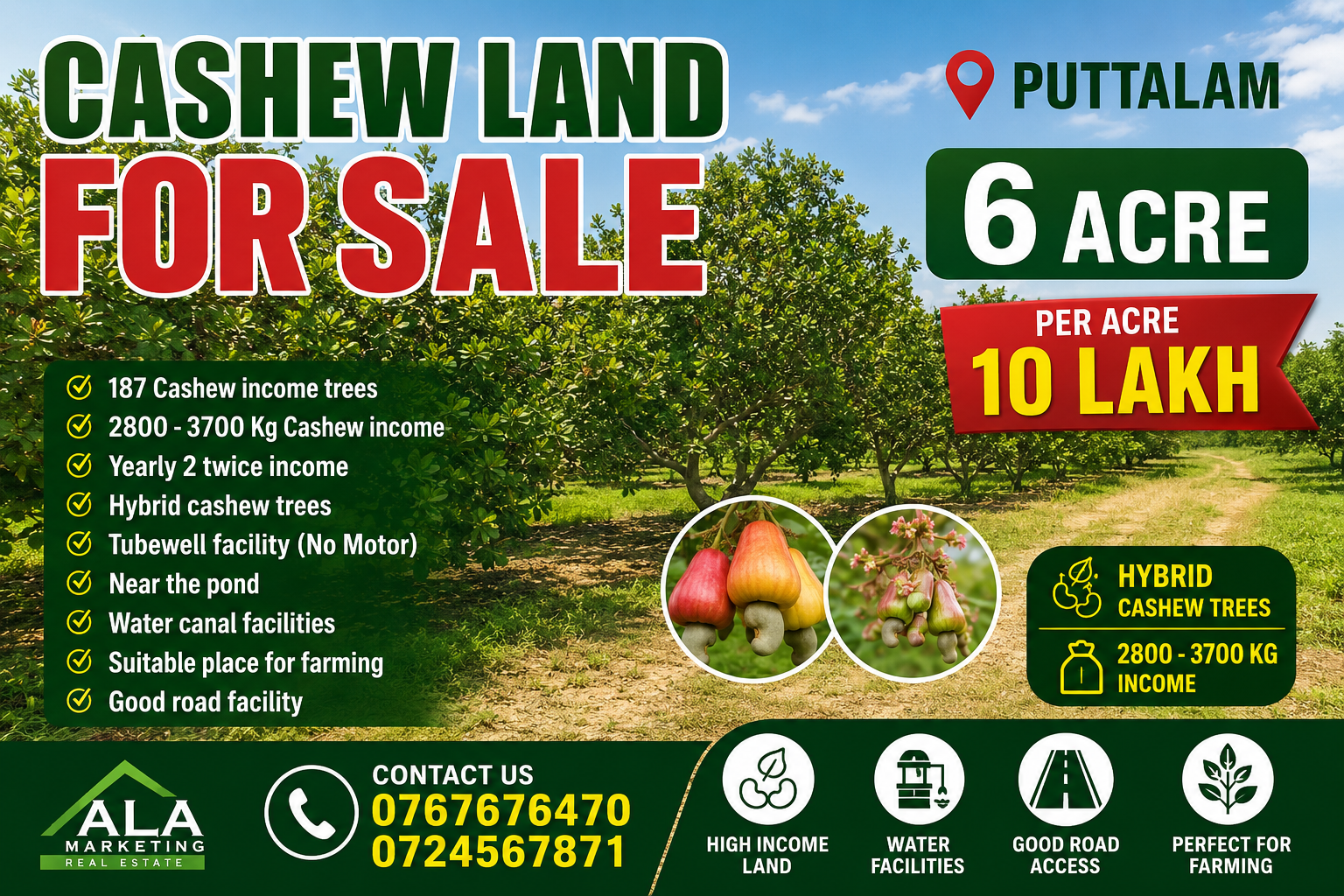 Agricultural Land for Sale in Puttalam